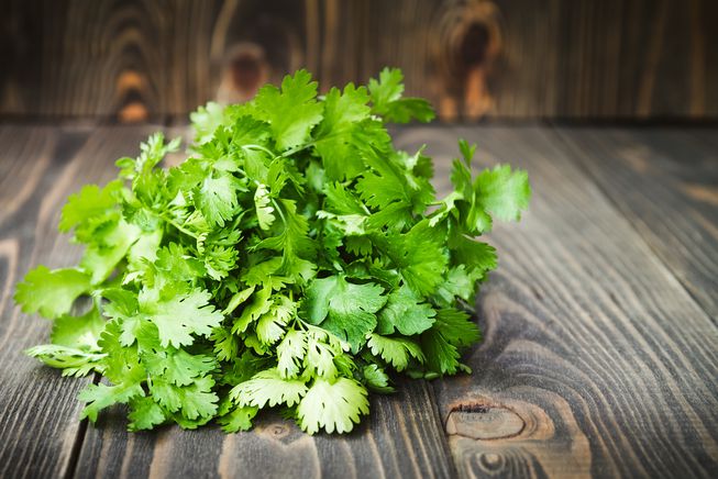 Cilantro.jpg.653x0 q80 crop smart